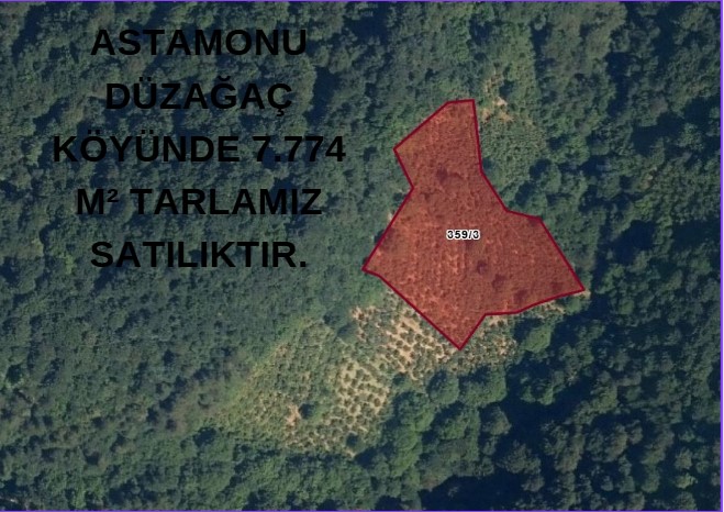 ASTAMONU DÜZAĞAÇ KÖYÜNDE 7.774  M² TARLAMIZ SATILIKTIR. - KASTAMONU DOĞANYURT fotoğraf 2